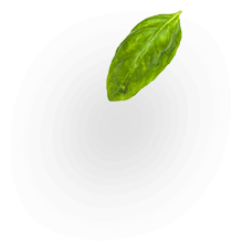 EDUBIN00162.png